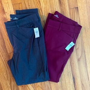 Old Navy pixie pants women’s 8 petite
